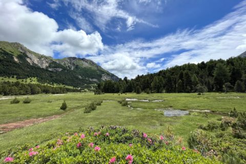 Riserva Forestale della Selvasecca