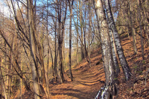 Landfogto (BlenioBike)