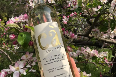 Degustazione all’Azienda Vitivinicola Bollani