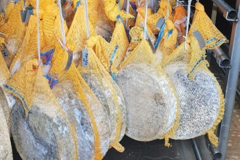 Visita e assaggi all’Alpe Pertusio di Casaccia