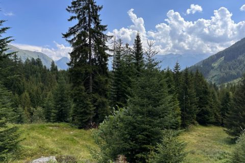 Giriamo Attorno al Sosto